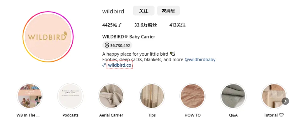 Wildbird ins
